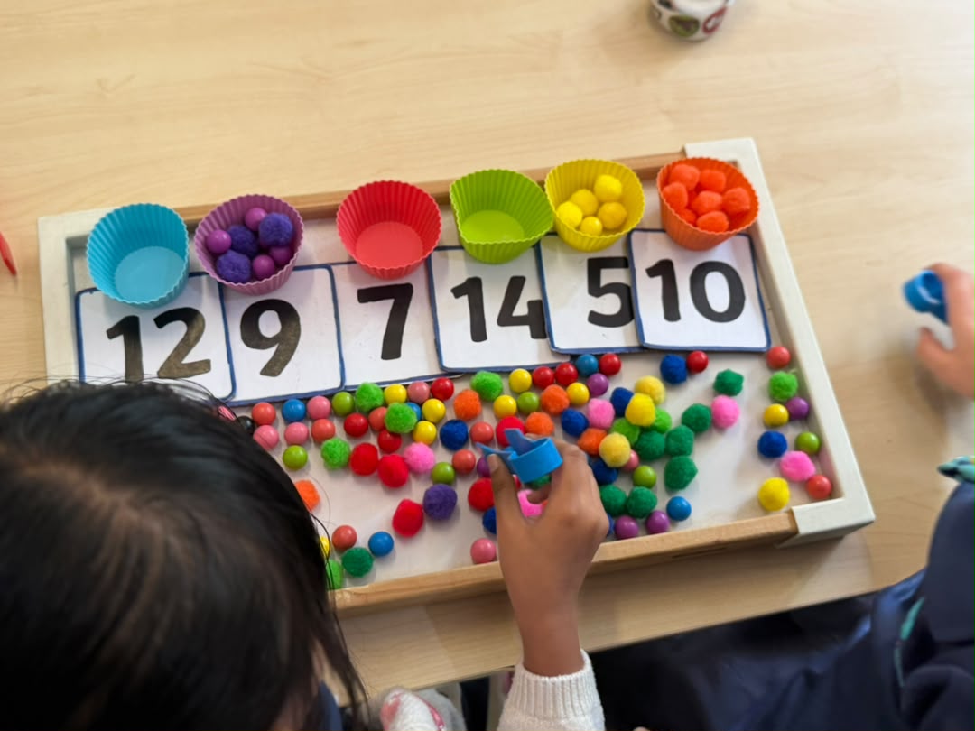 A tray of number cards with colourful pom-poms sorted into cups